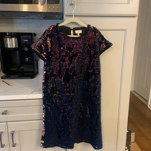 sachin and babi light blue dress Hayden | Dresses | Gorgeous Sequin Dress By Hayden Like New L Girls Holiday  Dress Christmas
